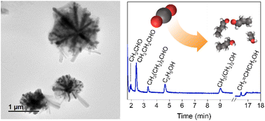 Snowflake relocated Cu2O electrocatalyst on an Ag backbone template for ...