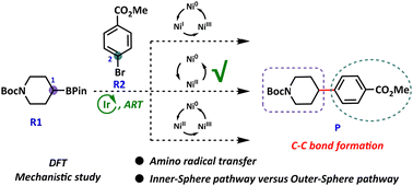 Theoretical study on the concerted catalysis of Ir/Ni for