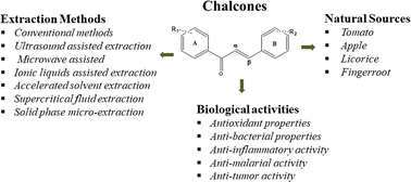 Exploring natural chalcones: innovative extraction techniques ...