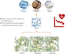 Peptidomics-based study of antihypertensive activity: discovery of ...