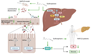 glp-1 without prescription Your Patient's GLP-1 Prescription Could Be Treating More Than Weight Loss