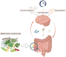 Association of methyl donor nutrients dietary intake and sleep ...