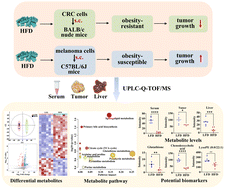 glutathione and obesity Untargeted metabolomics reveals the inhibition effect of a high-fat diet on  colorectal cancer tumorigenesis in obesity-resistant mice via regulating  bile acid, glutathione, and glycerophospholipid metabolisms