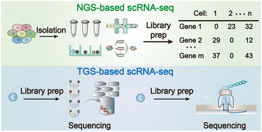 Advanced sequencing-based high-throughput and long-read single-cell ...