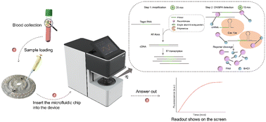 Portable All-in-one Microfluidic System For CRISPR–Cas13a-based Fully ...