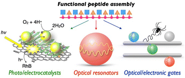 Functional oligo- and polypeptide assemblies for photochemical, optical ...
