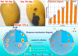 A highly sensitive ethylene gas sensor based on PtO2-decorated SnO2 ...