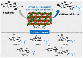 Crystal facet-dependent upgrading of saccharides over barium peroxide ...