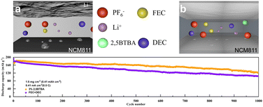 Stabilization of NCM811 cathode interface through macromolecular