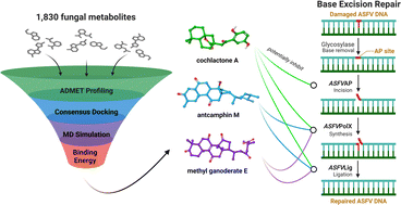 In silico identification of multi-target inhibitors from medicinal ...