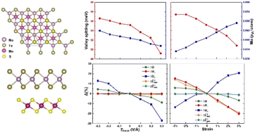 Mechanisms of manipulating valley splitting in MoTe2/MnS2 van der Waals ...