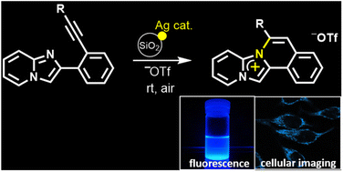 Novel mono substituted pyridoimidazoisoquinoliniums via a silver ...