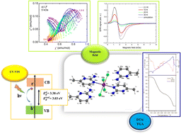 Structural, optical and magnetic properties of a new metal–organic CoII-based complex