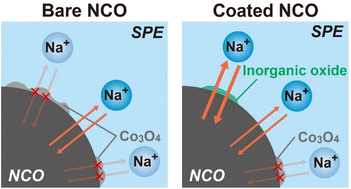 Interfacial modification of NaCoO2 positive electrodes with
