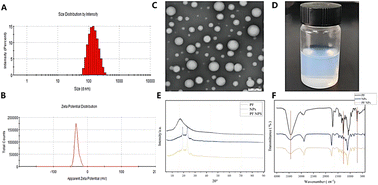 In vitro evaluation and in situ intestinal absorption characterisation ...