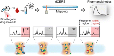 Digital colloid-enhanced Raman spectroscopy for the pharmacokinetic ...