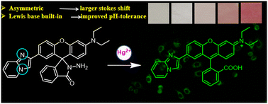 An imidazo[1,2-a]pyridine-functionalized xanthene fluorescent