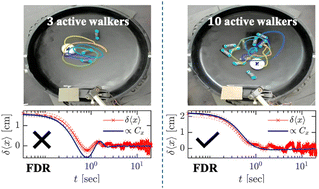 The fluctuation–dissipation relation holds for a macroscopic