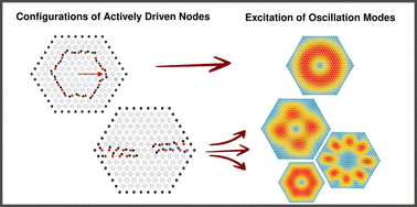 Tuning collective actuation of active solids by optimizing activity ...