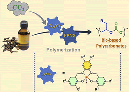 Facile synthesis of polycarbonates from biomass-based eugenol: catalyst ...