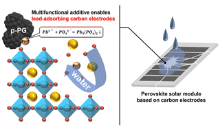 Multifunctional additive enables lead-adsorbing carbon electrodes for ...
