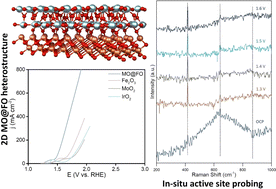 Sacrificial Fe sites making 2D heterostructure an efficient catalyst ...