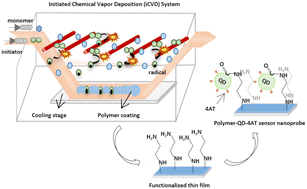 Reusable polymer-based fluorescent sensor nanoprobe for selective ...