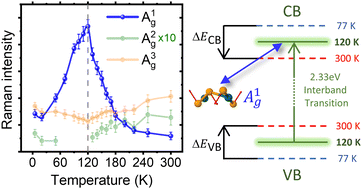 Resonance-induced anomalies in temperature-dependent Raman scattering ...