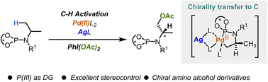 Diastereoselective C(sp3)–H acetoxylation of phosphoramidites