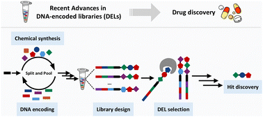 Recent advances in DNA-encoded libraries - Chemical Communications (RSC ...