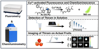 Cu2+-activatable fluorescence and chemiluminescence dual-mode sensing platform for visual detection of thiram