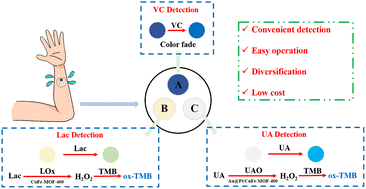 High-throughput visual detection of multiple sweat biomarkers based on ...