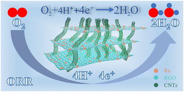 Low-size Ru particles for the construction of 3D RGO/CNT carriers for ...