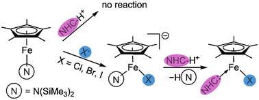 ダンシング・スノーフレークス　リーナベル The “pogo stick” complex [FeCp*{N(SiMe3)2}]: spin state