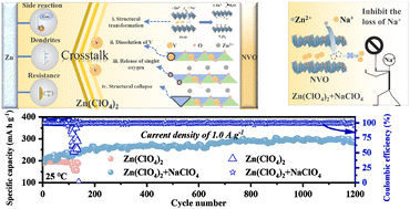 Electrolyte additive engineering for enhanced stability of sodium vanadate cathodes in aqueous zinc-ion batteries