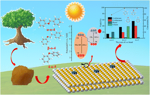 A mesoporous TiO2/carbon dot heterojunction photocatalyst efficiently ...