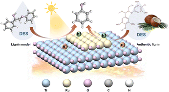 Lignin refinement based on efficient thermo-photo-catalysis of Ru–RuO2 ...