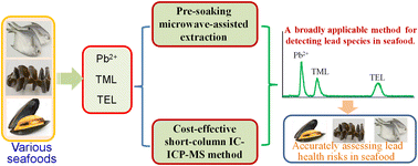 A cost-effective method applicable to the speciation analysis of lead ...