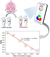 Halochromism of rosolic acid: a pH-sensitive colorimetric dye combined ...