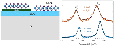 Raman spectroscopy of 2D MoS2 on Ti3C2 MXene: the substrate effect ...