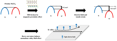 Valley splitting and anomalous valley Hall effect in MoTe2/CrSCl ...