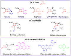 β-Lactam antibiotics and β-lactamases: historical perspectives and a review of β-lactamase inhibitors derived from natural products