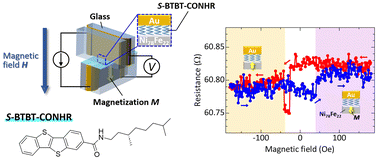 Magnetoresistance effect based on spin-selective transport