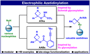 Modular access to functionalized azetidines via electrophilic ...