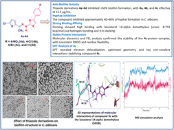 Harnessing thiazole chemistry for antifungal strategies through an experimental and computational chemistry approach: anti-biofilm, molecular docking, dynamics, and DFT analysis