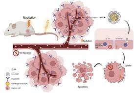 Application of radiotherapy-preexcited gambogic acid dual targeting nanoparticles in colorectal cancer