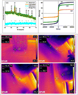 Preparation of biotemplated Fe3O4 nanoparticles and evaluation of RF-induced heating efficiency for targeted hyperthermia