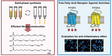 Solid-phase synthesis of polyunsaturated fatty acids facilitates