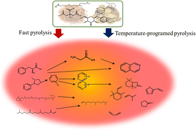 Structure-dependent pyrolysis mechanisms of tobacco carbohydrates: from  monosaccharides to polysaccharides under programmed and fast pyrolysis  conditions
