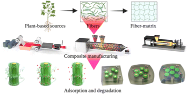 Adhesion chemistry of plant-based cellulosic fibers and polymeric matrices  in composites: a review - RSC Advances (RSC Publishing)